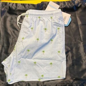 PALM STRIPES 5.5" INSEAM SWIM TRUNKS